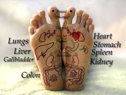 The soles of both feet marked with a foot reflexology chart